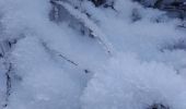 Trail Snowshoes Herbeumont - Rando : Pont de la Gayette - L'Antrogne - Photo 3