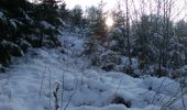 Randonnée Raquettes à neige Herbeumont - Rando : Pont de la Gayette - L'Antrogne - Photo 2