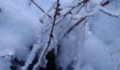 Percorso Racchette da neve Herbeumont - Rando : Pont de la Gayette - L'Antrogne - Photo 1
