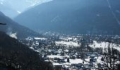 Randonnée Raquettes à neige Juzet-de-Luchon - JUZET - PAS DE LA COMBE (LABACH) - Photo 16