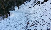 Tocht Sneeuwschoenen Juzet-de-Luchon - JUZET - PAS DE LA COMBE (LABACH) - Photo 14