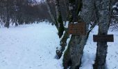 Tocht Sneeuwschoenen Juzet-de-Luchon - JUZET - PAS DE LA COMBE (LABACH) - Photo 8
