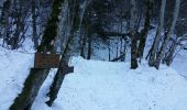 Tocht Sneeuwschoenen Juzet-de-Luchon - JUZET - PAS DE LA COMBE (LABACH) - Photo 7
