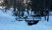 Trail Snowshoes Juzet-de-Luchon - JUZET - PAS DE LA COMBE (LABACH) - Photo 6
