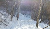 Randonnée Raquettes à neige Juzet-de-Luchon - JUZET - PAS DE LA COMBE (LABACH) - Photo 4