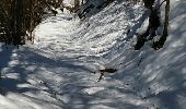 Randonnée Raquettes à neige Juzet-de-Luchon - JUZET - PAS DE LA COMBE (LABACH) - Photo 3