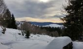 Randonnée Raquettes à neige La Bresse - 2017 01 27 la Basse des feignes - Photo 2