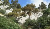 Tour Wandern Toulon - Faron par le sentier des hirondelles - Photo 1