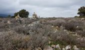 Tocht Stappen Vauvenargues - point de chute 01 - Photo 7