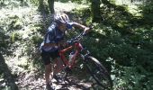 Tour Mountainbike Ouhans - Club VTT Bivouac 1 2011-07-11 18h39m46 - Photo 19