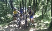 Excursión Bici de montaña Ouhans - Club VTT Bivouac 1 2011-07-11 18h39m46 - Photo 16
