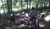 Trail Mountain bike Ouhans - Club VTT Bivouac 1 2011-07-11 18h39m46 - Photo 14