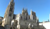 Tocht Stappen Belorado - Mon Compostelle Vingt et unième étape - Photo 4