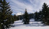Tocht Sneeuwschoenen Chaudeyrolles - chaudeyrolles - Photo 3