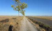 Trail Walking Bercianos del Real Camino - Mon Compostellle Vingt cinquième étape - Photo 2