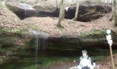 Excursión Senderismo Lemberg - lemberg_cascades_et_grottes - Photo 17