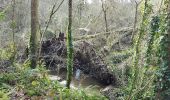 Tocht Stappen Le Minihic-sur-Rance - chapelle St Buc - Photo 3