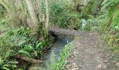 Excursión Senderismo Le Minihic-sur-Rance - chapelle St Buc - Photo 2