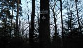 Trail Walking Lautenbach - Banstein- Wintzfelden (9/2/2017) - Photo 1