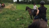 Trail Equestrian Lessines - deux acren - Photo 4