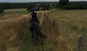 Trail Equestrian Lessines - deux acren - Photo 3