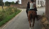 Trail Equestrian Lessines - deux acren - Photo 1