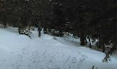 Tocht Sneeuwschoenen Montferrier - Mont d'Olmes - le Planas - Photo 9