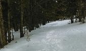 Tocht Sneeuwschoenen Montferrier - Mont d'Olmes - le Planas - Photo 8
