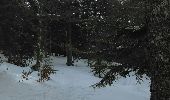 Randonnée Raquettes à neige Montferrier - Mont d'Olmes - le Planas - Photo 7