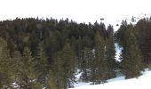 Randonnée Raquettes à neige Montferrier - Mont d'Olmes - le Planas - Photo 3