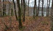 Trail Walking Pissotte - Ph. 2017-02 Pissotte : Barrage et forêt de Mervent - Photo 5