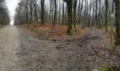 Trail Walking Pissotte - Ph. 2017-02 Pissotte : Barrage et forêt de Mervent - Photo 3