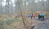 Tour Wandern Beauvechain - Hamme-Mille 12 02 2017 Proxirando - Photo 2