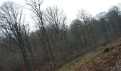 Tour Wandern Beauvechain - Hamme-Mille 12 02 2017 Proxirando - Photo 1