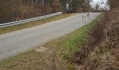 Excursión Bici de montaña Cologne - La Colognaise 2017 boucle 2 partie 1-2 - Photo 14