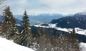 Tour Schneeschuhwandern Lans-en-Vercors - La Molière - Crête Sud - Photo 1