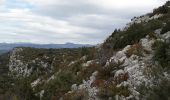 Tour Wandern Vaison-la-Romaine - L'Arfuyen, St Amand, Coste belle.  - Photo 9