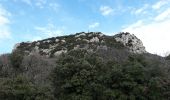 Trail Walking Vaison-la-Romaine - L'Arfuyen, St Amand, Coste belle.  - Photo 4