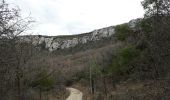 Tocht Stappen Vaison-la-Romaine - L'Arfuyen, St Amand, Coste belle.  - Photo 3