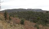 Trail Walking Vaison-la-Romaine - L'Arfuyen, St Amand, Coste belle.  - Photo 1