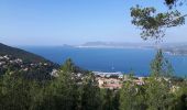 Excursión Senderismo Saint-Cyr-sur-Mer - les sentiers des Vignes et du littoral - Photo 14