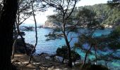 Excursión Senderismo Saint-Cyr-sur-Mer - les sentiers des Vignes et du littoral - Photo 12