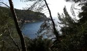 Randonnée Marche Saint-Cyr-sur-Mer - les sentiers des Vignes et du littoral - Photo 11