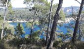 Excursión Senderismo Saint-Cyr-sur-Mer - les sentiers des Vignes et du littoral - Photo 10