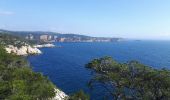 Randonnée Marche Saint-Cyr-sur-Mer - les sentiers des Vignes et du littoral - Photo 9