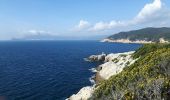 Percorso Marcia Saint-Cyr-sur-Mer - les sentiers des Vignes et du littoral - Photo 8