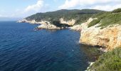 Percorso Marcia Saint-Cyr-sur-Mer - les sentiers des Vignes et du littoral - Photo 5