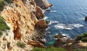 Randonnée Marche Saint-Cyr-sur-Mer - les sentiers des Vignes et du littoral - Photo 4