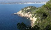 Percorso Marcia Saint-Cyr-sur-Mer - les sentiers des Vignes et du littoral - Photo 3