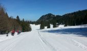 Trail Snowshoes Saint-Christophe-sur-Guiers - Le Belvédère d'Arpison - Photo 5